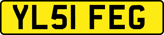 YL51FEG
