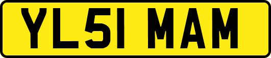 YL51MAM