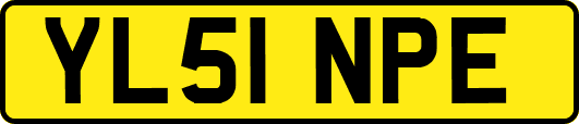 YL51NPE