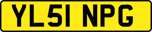 YL51NPG