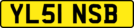 YL51NSB