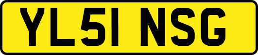YL51NSG