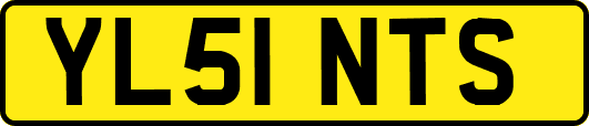 YL51NTS