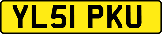 YL51PKU