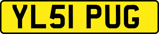 YL51PUG