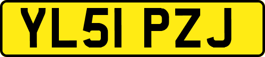 YL51PZJ