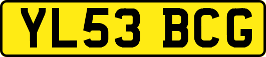 YL53BCG