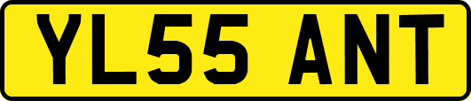 YL55ANT