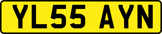 YL55AYN