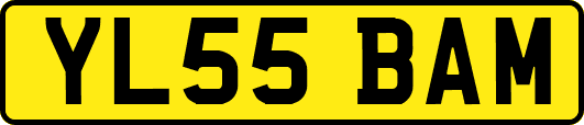 YL55BAM