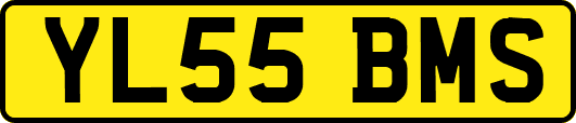 YL55BMS