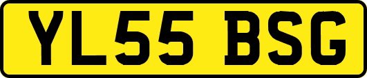 YL55BSG