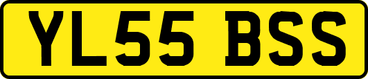 YL55BSS