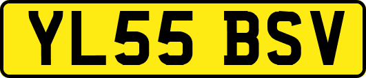 YL55BSV