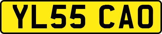 YL55CAO