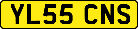 YL55CNS
