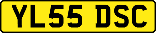 YL55DSC