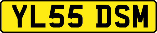 YL55DSM