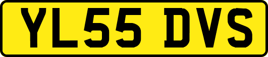 YL55DVS