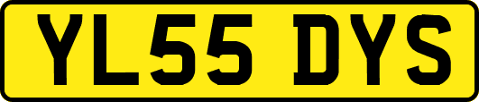YL55DYS