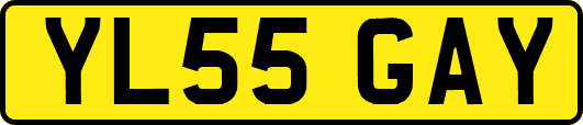 YL55GAY