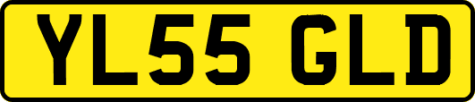 YL55GLD