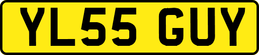 YL55GUY
