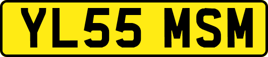 YL55MSM