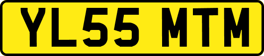 YL55MTM