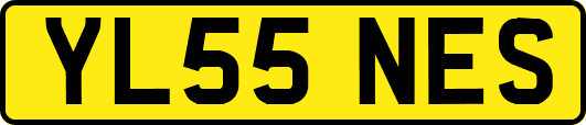YL55NES
