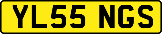 YL55NGS
