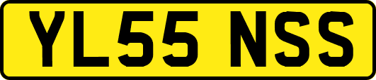 YL55NSS