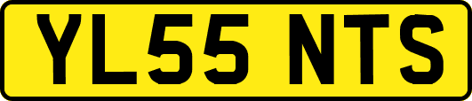 YL55NTS