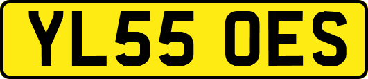 YL55OES