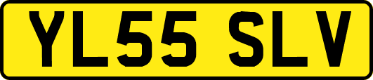YL55SLV