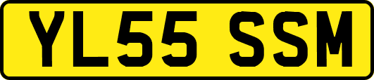 YL55SSM