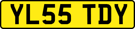 YL55TDY