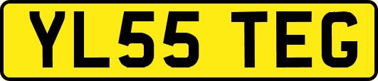YL55TEG