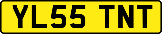 YL55TNT