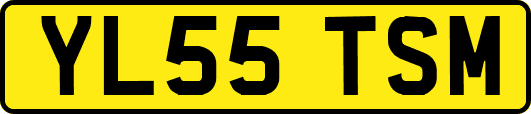 YL55TSM