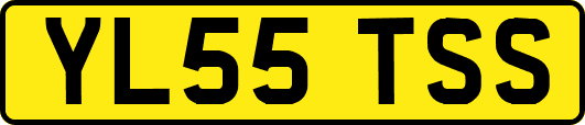 YL55TSS