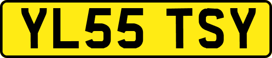 YL55TSY