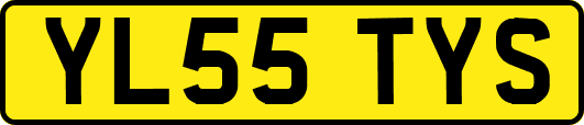 YL55TYS