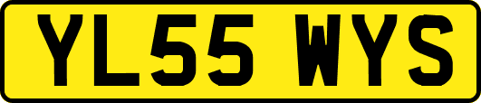 YL55WYS