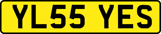 YL55YES