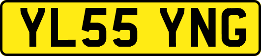 YL55YNG