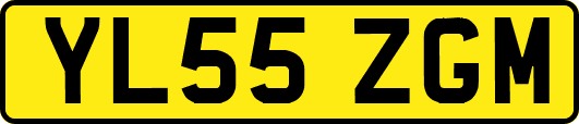YL55ZGM
