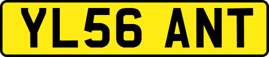 YL56ANT