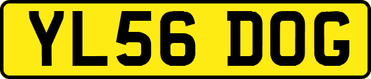 YL56DOG