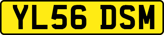 YL56DSM